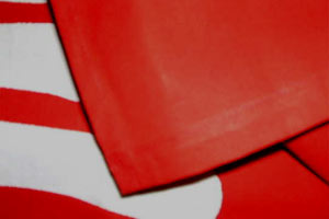 �̂�񐻍�E�D�����n�A�b�v���{�T���v��